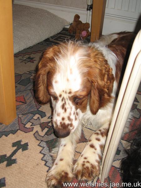 2009-12-25 22.JPG